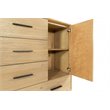 Pemberly Row Contemporary Veneer Wood and Metal Chest in Walnut Natural