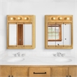 Pemberly Row Modern 24-Inch Wood Medicine Cabinet in Nutmeg Oak
