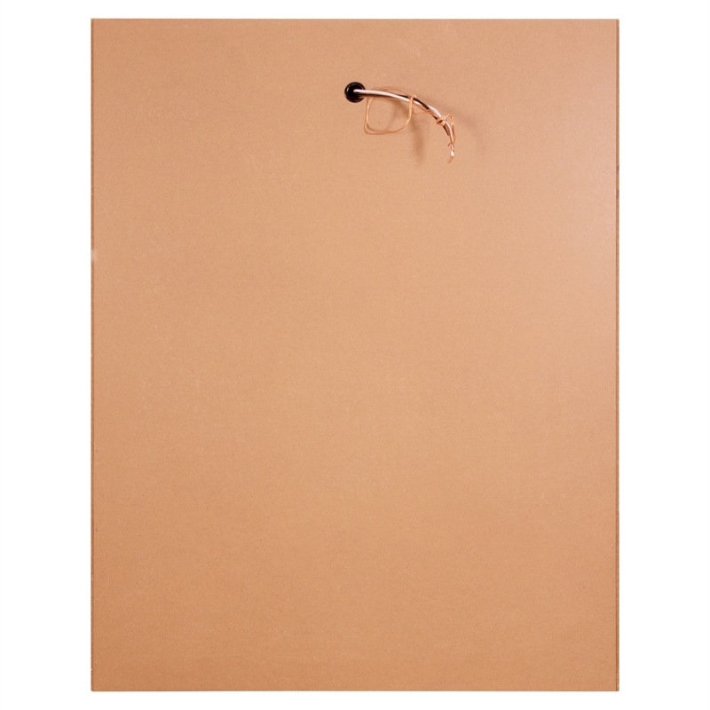 Pemberly Row Modern 24-Inch Wood Medicine Cabinet in Nutmeg Oak