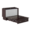Pemberly Row Queen Solid Wood Murphy Bed Chest with Mattress in Espresso