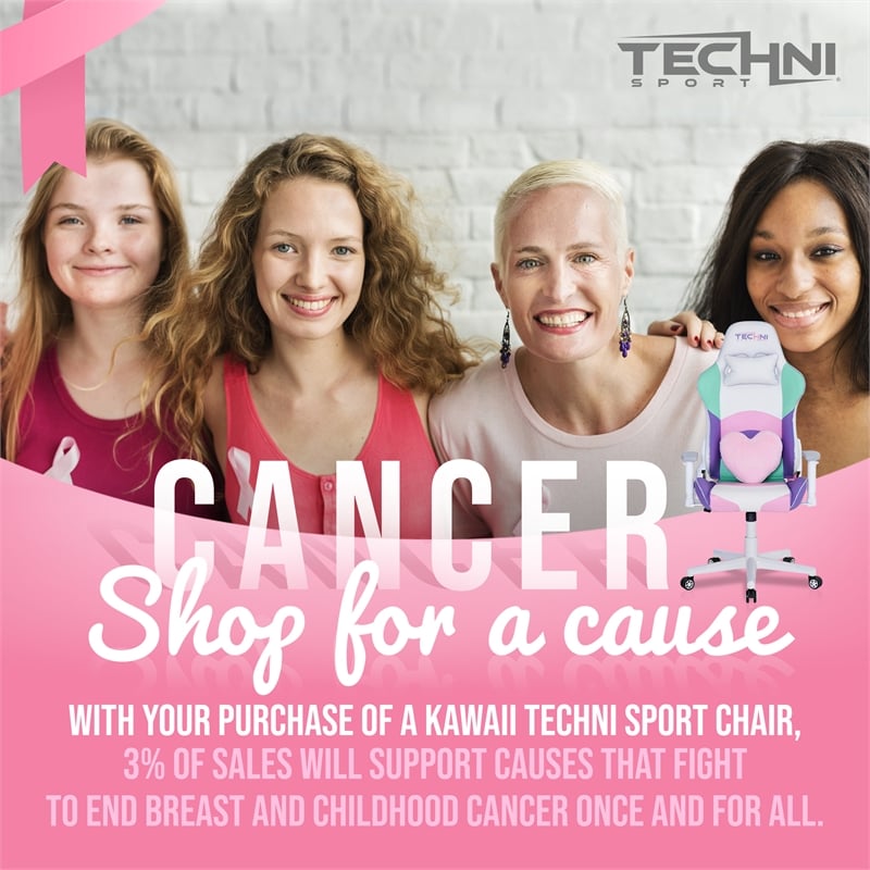 Pemberly Row Polyurethane Fabric TS-42 Office-PC Gaming Chair in Kawaii