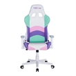 Pemberly Row Polyurethane Fabric TS-42 Office-PC Gaming Chair in Kawaii