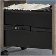 Pemberly Row 2 Drawer Mobile File Cabinet in Modern Hickory - Engineered Wood