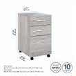 Pemberly Row 3 Drawer Mobile File Cabinet in Platinum Gray - Engineered Wood
