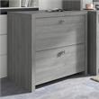 Pemberly Row 2 Drawer Lateral File Cabinet in Modern Gray - Engineered Wood