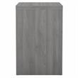 Pemberly Row 2 Drawer Lateral File Cabinet in Modern Gray - Engineered Wood