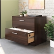 Pemberly Row Engineered Wood Lateral Filing Cabinet in Noble Elm/Brown