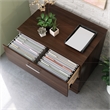 Pemberly Row Engineered Wood Lateral Filing Cabinet in Noble Elm/Brown