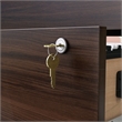 Pemberly Row Engineered Wood Lateral Filing Cabinet in Noble Elm/Brown