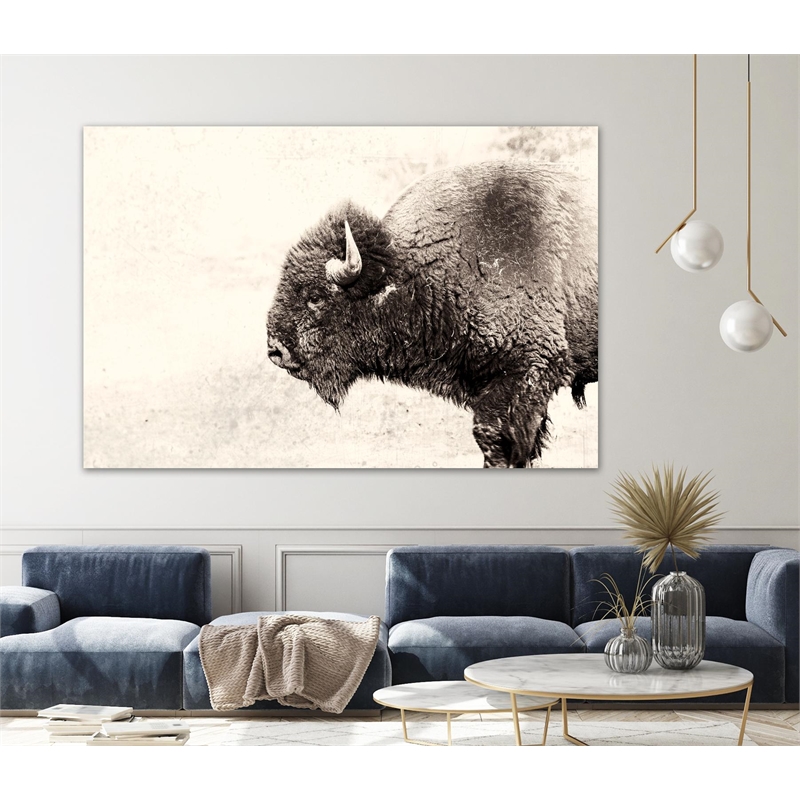 Pemberly Row 84x54 Buffalo Fine Art Giant Canvas Print in Pink