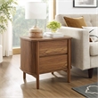 Pemberly Row Modern / Contemporary 2-Drawer Nightstand in Walnut