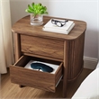 Pemberly Row Modern / Contemporary 2-Drawer Nightstand in Walnut