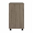 Pemberly Row 3 Drawer Mobile File Cabinet in Modern Hickory - Engineered Wood