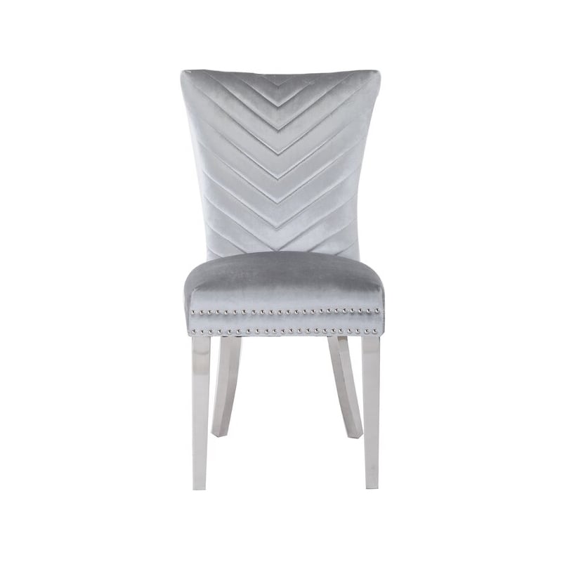 Pemberly Row 2 Piece Stainless Steel Legs Chair with Velvet Fabric in Silver