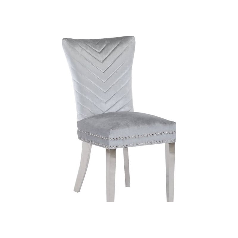Pemberly Row 2 Piece Stainless Steel Legs Chair with Velvet Fabric in Silver