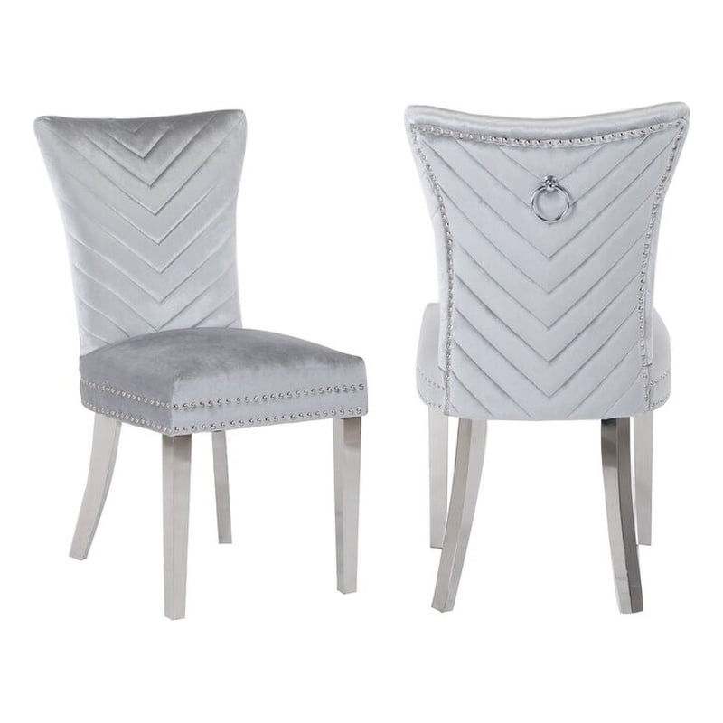 Pemberly Row 2 Piece Stainless Steel Legs Chair with Velvet Fabric in Silver