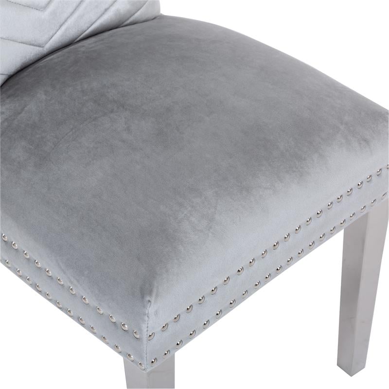 Pemberly Row 2 Piece Stainless Steel Legs Chair with Velvet Fabric in Silver