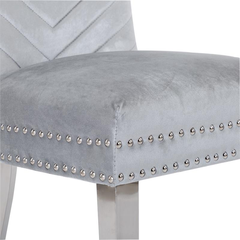 Pemberly Row 2 Piece Stainless Steel Legs Chair with Velvet Fabric in Silver