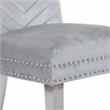 Pemberly Row 2 Piece Stainless Steel Legs Chair with Velvet Fabric in Silver