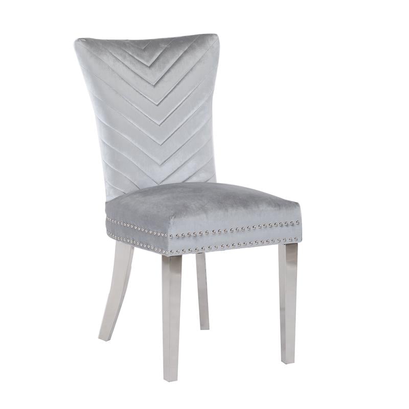 Pemberly Row 2 Piece Stainless Steel Legs Chair with Velvet Fabric in Silver