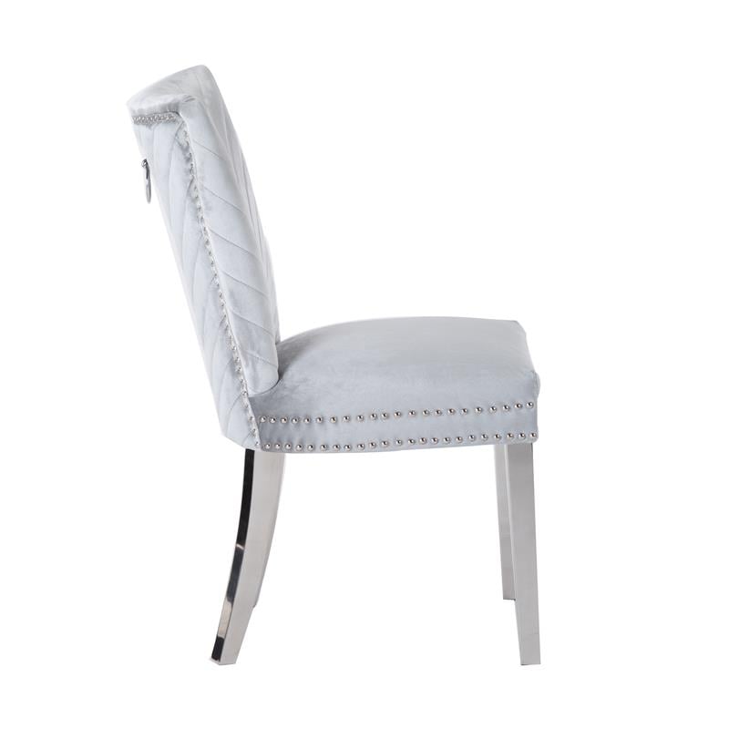 Pemberly Row 2 Piece Stainless Steel Legs Chair with Velvet Fabric in Silver