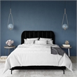Pemberly Row Contemporary Upholstered Queen Bed in Black Velvet