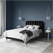 Pemberly Row Contemporary Upholstered Queen Bed in Black Velvet