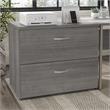 Pemberly Row 2 Drawer Lateral File Cabinet in Platinum Gray - Engineered Wood