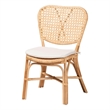 Pemberly Row Contemporary Brown Finished Rattan Dining Chair