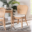 Pemberly Row Contemporary Brown Finished Rattan Dining Chair