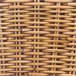 Pemberly Row Modern / Contemporary Bohemian Natural Rattan Bar Stool