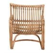 Pemberly Row Contemporary Bohemian Natural Rattan Accent Chair