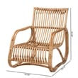 Pemberly Row Contemporary Bohemian Natural Rattan Accent Chair