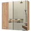 Pemberly Row Modern Medicine Cabinet in Pine Beige Engineered Wood