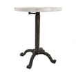 Pemberly Row Adjustable Vintage Table in Natural Driftwood/Aged Iron
