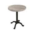 Pemberly Row Adjustable Vintage Table in Natural Driftwood/Aged Iron