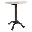 Pemberly Row Adjustable Vintage Table in Natural Driftwood/Aged Iron