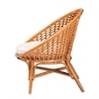 Pemberly Row Contemporary Bohemian Natural Rattan Accent Chair