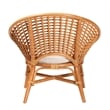 Pemberly Row Contemporary Bohemian Natural Rattan Accent Chair