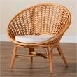 Pemberly Row Contemporary Bohemian Natural Rattan Accent Chair