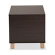 Pemberly Row Dark Brown and Oak Finished Cat Litter Box Cover House
