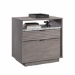 Pemberly Row Engineered Wood 2-Drawers Lateral File in Ashen Oak