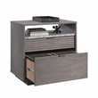 Pemberly Row Engineered Wood 2-Drawers Lateral File in Ashen Oak
