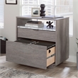 Pemberly Row Engineered Wood 2-Drawers Lateral File in Ashen Oak