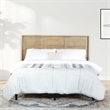 Pemberly Row Modern Queen/Full Headboard in Wood Canyon Oak Finish
