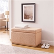 Pemberly Row Contemporary Rectangle Sherpa Storage Ottoman in Tan