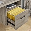 Pemberly Row Modern Writing Desk in Sonoma Oak and Gunmetal Gray