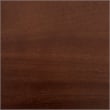 Pemberly Row Contemporary 2 Door Storage Cabinet Walnut Brown