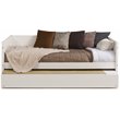 Pemberly Row Solid Wood Twin Daybed and Trundle Set in White