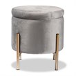 Pemberly Row Gray Velvet and Gold Finished Metal Storage Ottoman